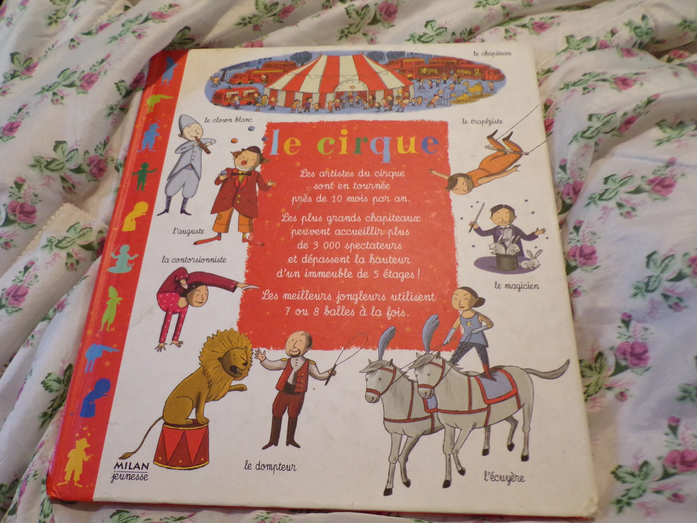 Le cirque